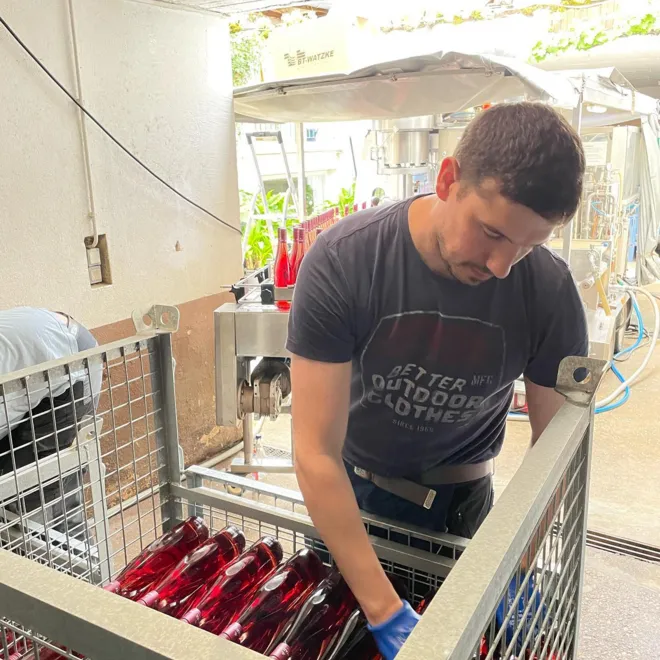 Weingut Marx Probierpaket
