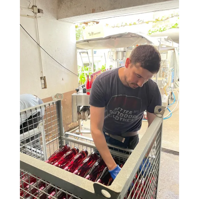 Weingut Marx Probierpaket