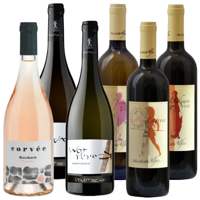 Cembrani DOC Probierpaket