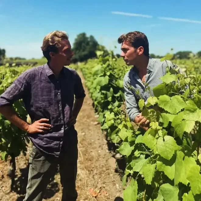 Chon Frères Vignerons Proefpakket