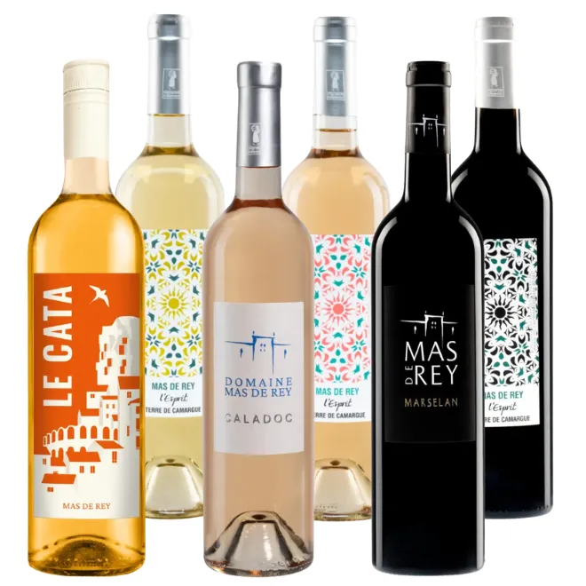 Mas de Rey Tasting Case