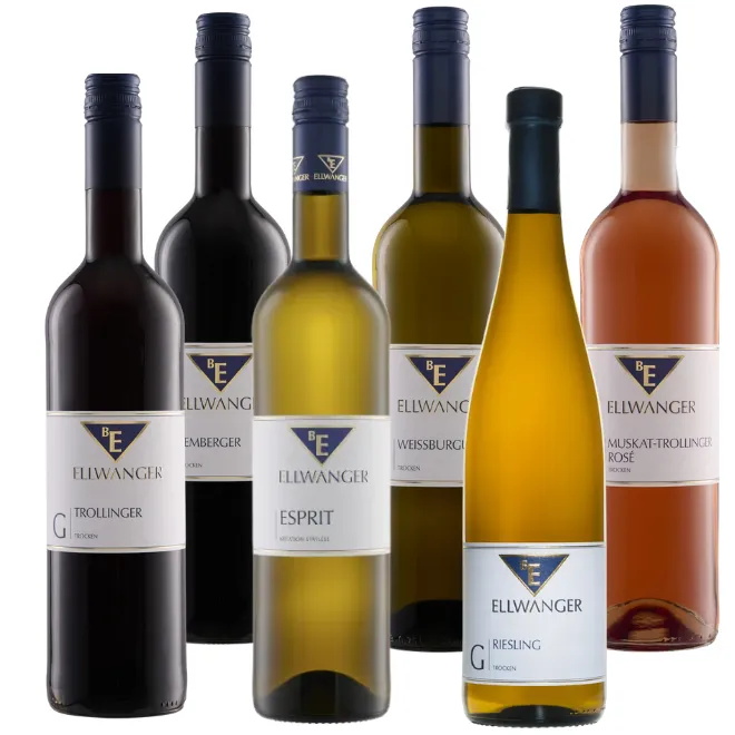 Weingut Ellwanger Tasting Case