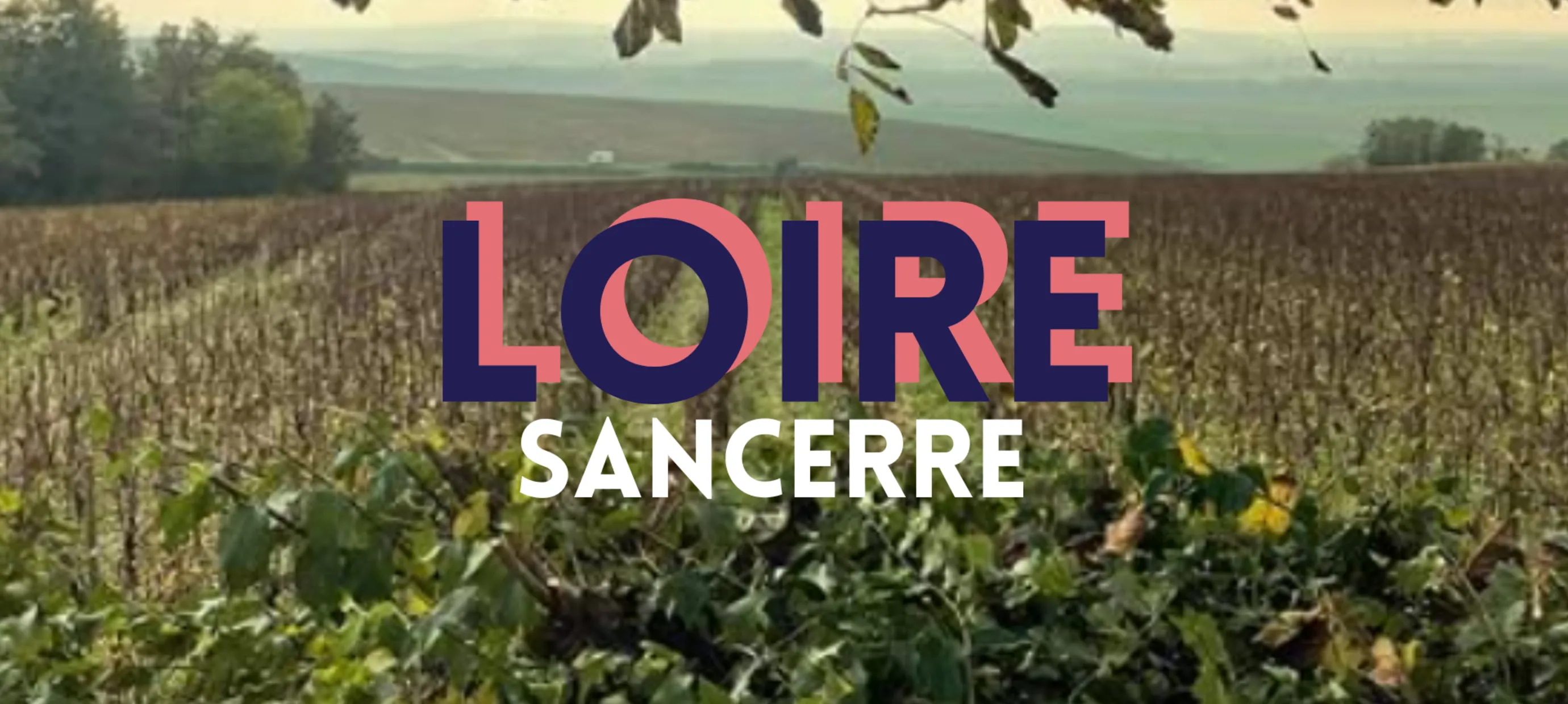 Op wijnreis door de Loire; Sancerre