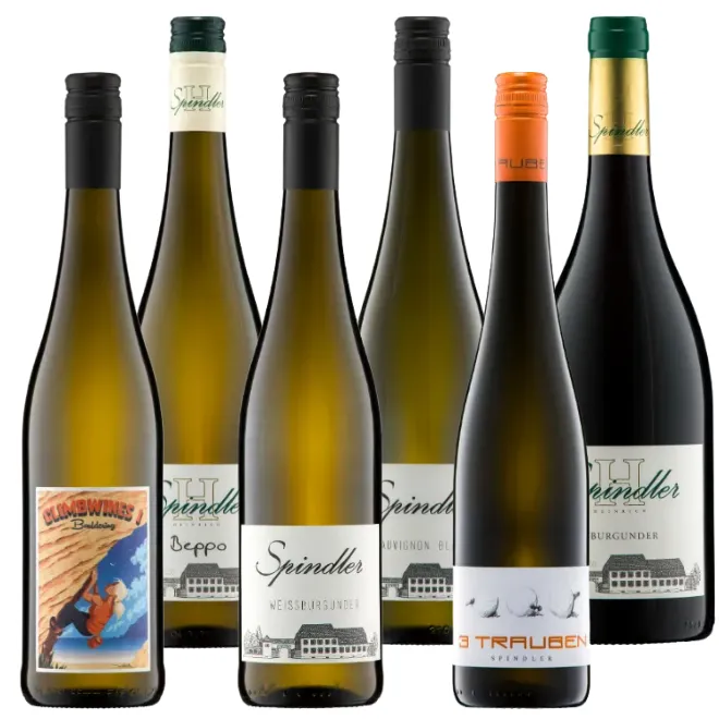 Weingut Heinrich Spindler Proefpakket