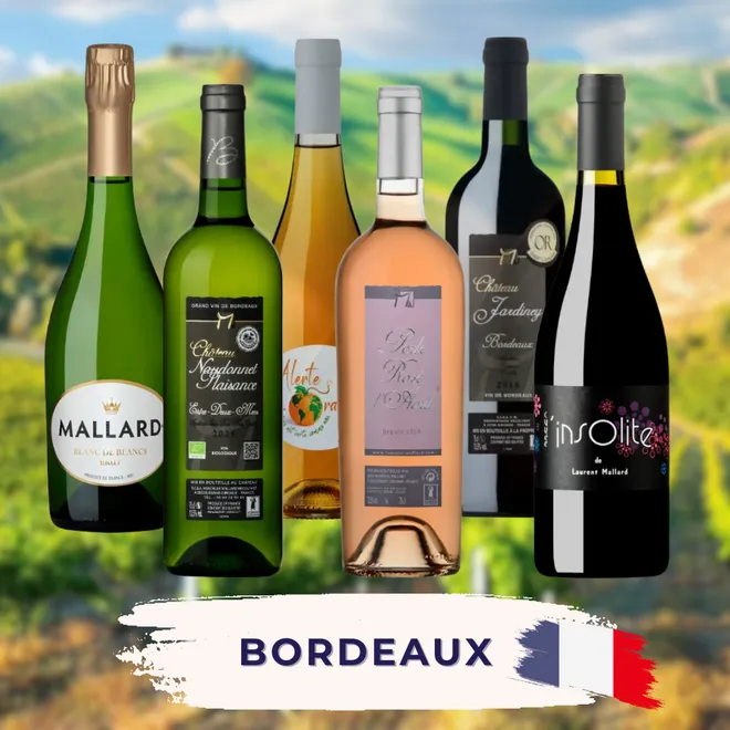 Bordeaux Tasting Case