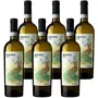 ‘Aurora’ Monferrato Bianco DOC