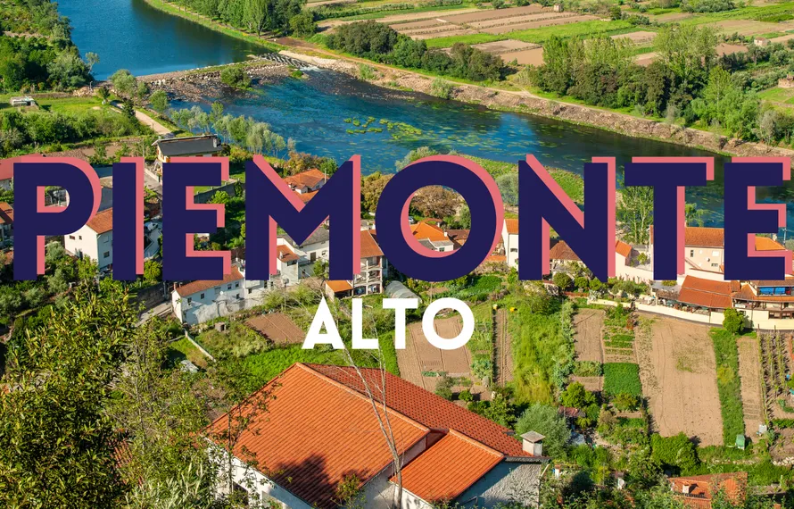 Op wijnreis door Alto Piemonte