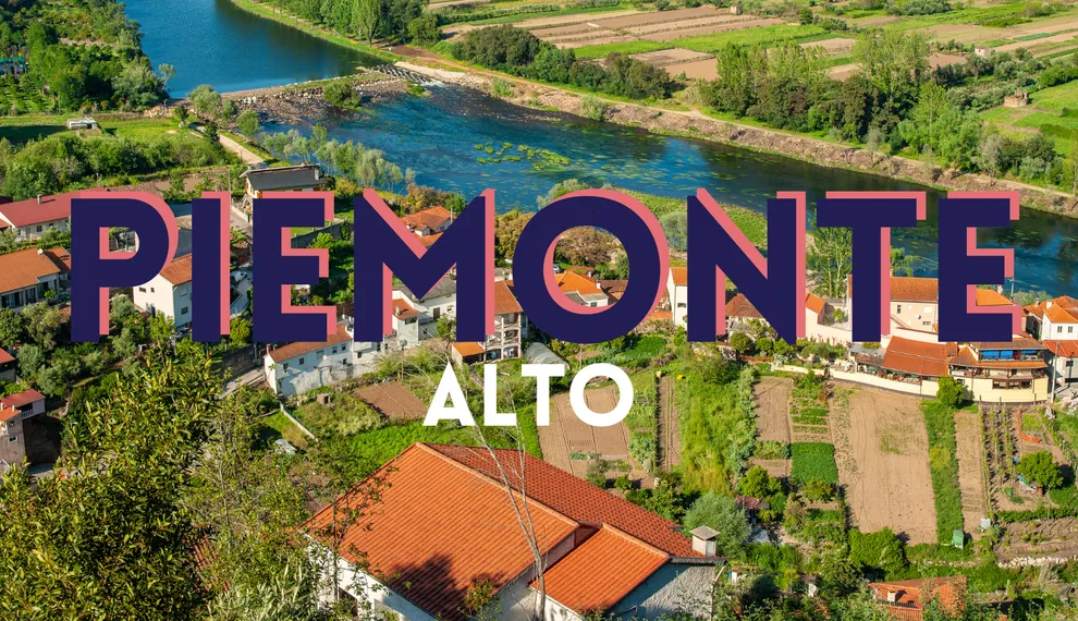 Op wijnreis door Alto Piemonte