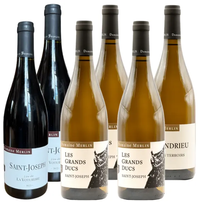 Domaine Merlin Probierpaket (Rhône)