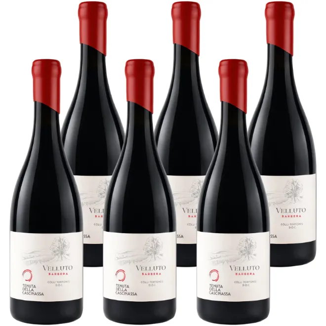 'Velluto' Barbera Colli Tortonesi DOC