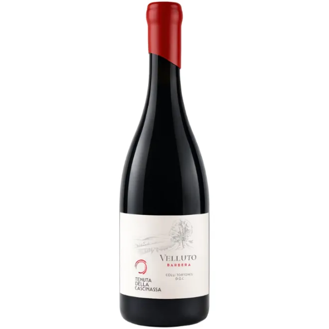 'Velluto' Barbera Colli Tortonesi DOC