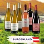 Burgenland Tasing Case