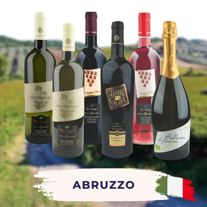 Abruzzo Tasting Case