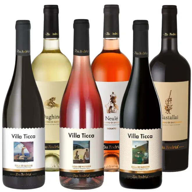 Cantina Ziu Andria Tasting Case