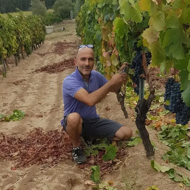 Cantina Ziu Andria Tasting Case