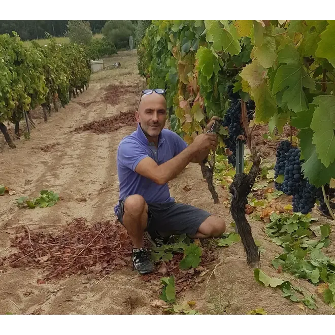 Cantina Ziu Andria Tasting Case