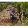 Cantina Ziu Andria Probierpaket (Sardinien)