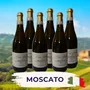 Moscato Probierpaket