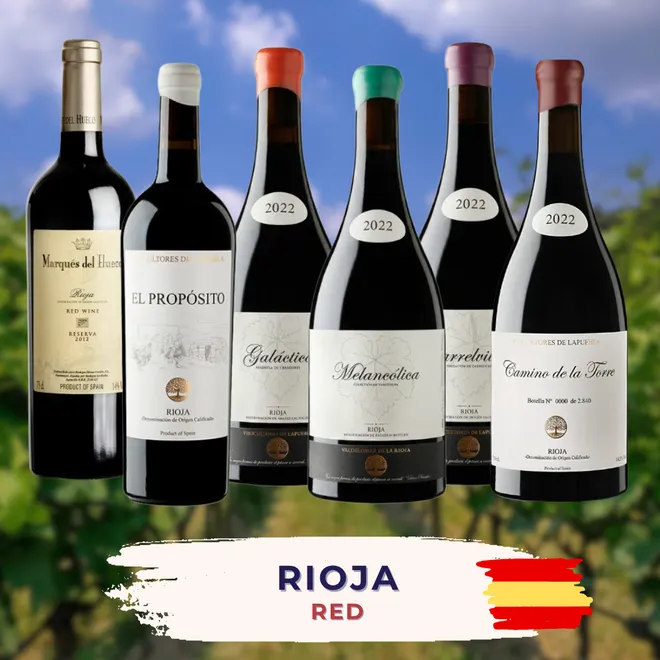 Rioja Rotwein Probierpaket