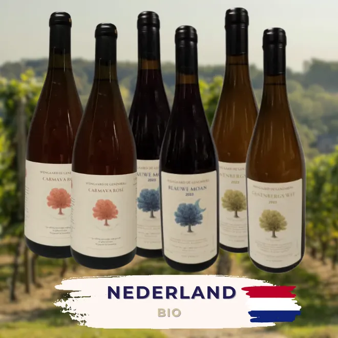 Dutch Organic Tasting Case