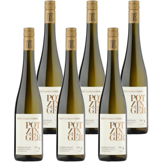 Sauvignon Blanc Ried Czamillonberg DAC 2024