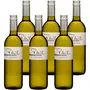 Donauriesling 2025