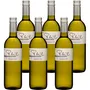 Sauvignon Blanc 2025