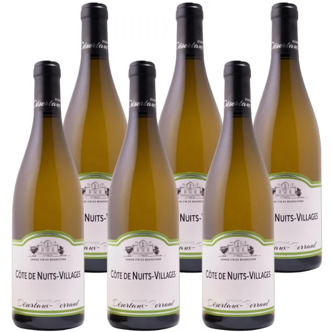 Côte de Nuits-Villages Blanc 2024