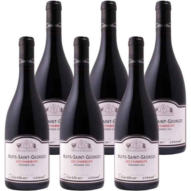 Nuits-Saint-Georges 1er Cru 'Les Chabœufs' 2023