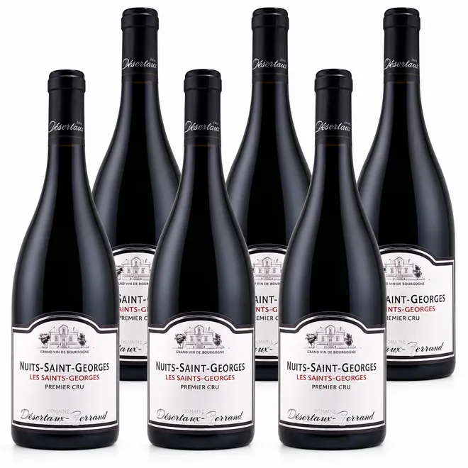 Nuits-Saint-Georges 1er Cru 'Les Saints-Georges' 2023