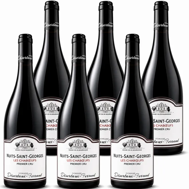 Nuits-Saint-Georges 1er Cru 'Les Chabœufs' 2024