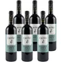 Rosso Piceno Superiore DOC
