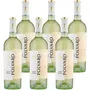 Pinot Grigio DOC Venezia