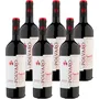 Merlot DOC Venezia