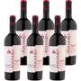 Cabernet Sauvignon DOC Venezia