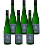 Grüner Veltliner Federspiel Ried Kollmütz 2025
