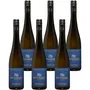 Grüner Veltliner Smaragd Ried Bachsatz 2024