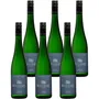 Riesling Federspiel Ried Kollmütz 2025