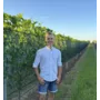Weingut Valentin Oppenauer Tasting Case