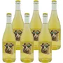 'Bad Behaviour' Bacchus PetNat