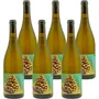 'Pinecone' Pinot Blanc