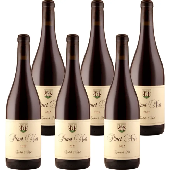 Pinot Noir 'Basis' 2023