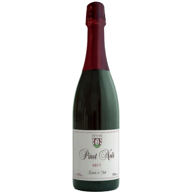 Rosé-Sekt 'Pinot Noir' 2022