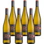 Cabernet Blanc 2023