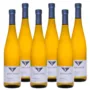 Riesling 'Vom Bunten Mergel' Trocken