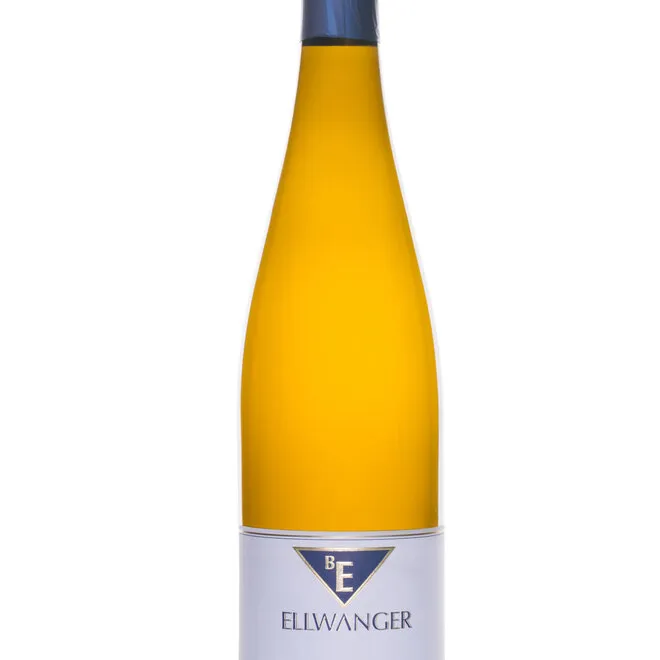 Riesling 'Vom Bunten Mergel' Trocken