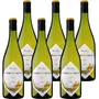 Garnacha Blanco