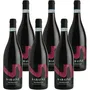 Valpolicella Classico DOC 2024