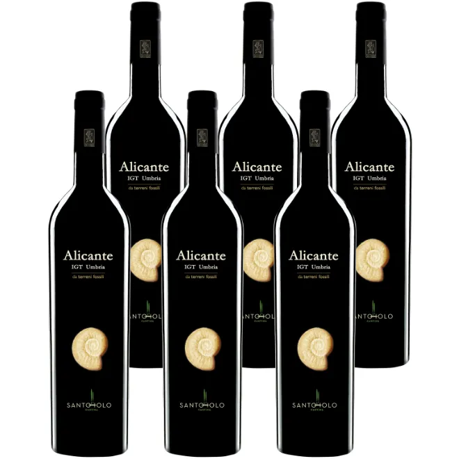 Alicante IGT Umbria Rosso 2021