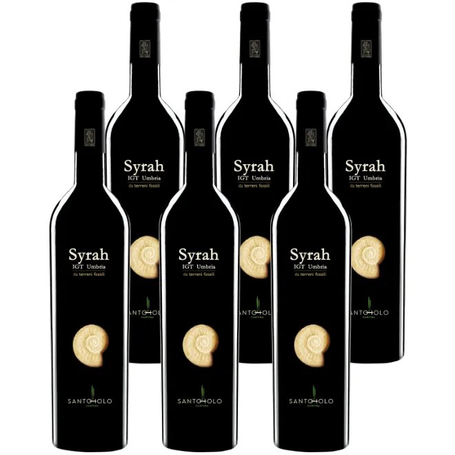 Syrah IGT Umbria Rosso 2022